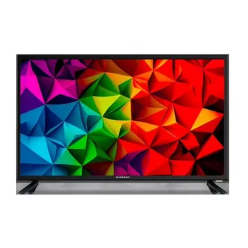 TV D-LED GMSC24V100 60cm HD