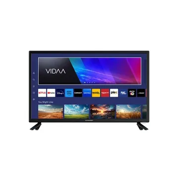 TV D-LED GMSC24V100 60cm HD