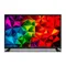 TV D-LED GMSC24V100 60cm HD