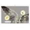 tablettes_78-1-20320315_Onliz_1