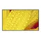 pme_47-hex06nec_Onliz_2